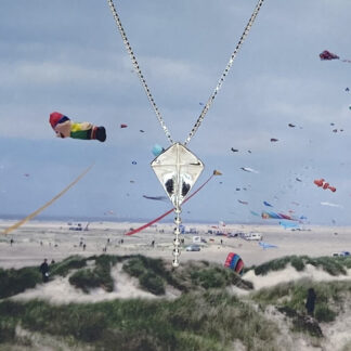Silver kite pendant.